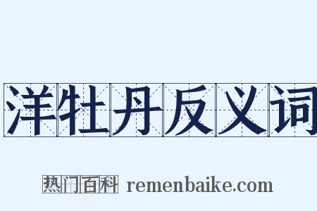洋牡丹反义词是什么意思的图片